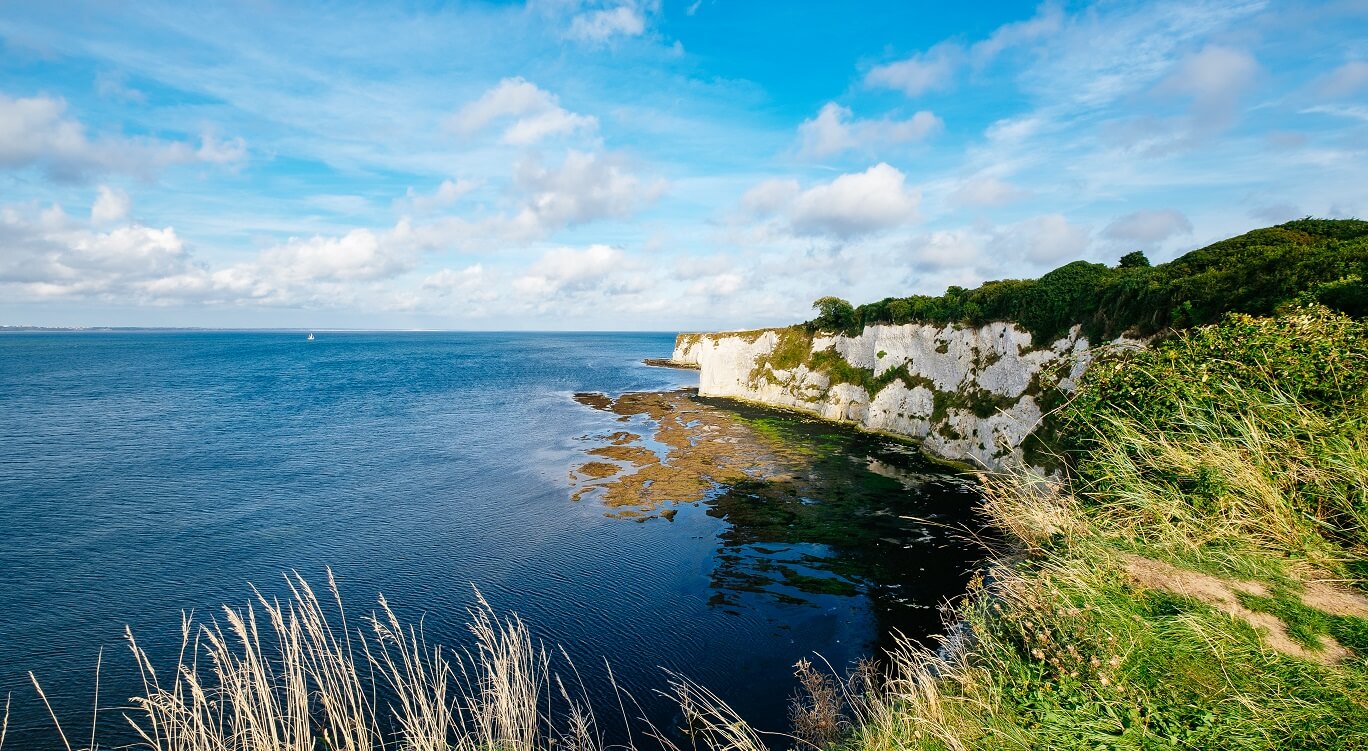 can dogs go studland beach